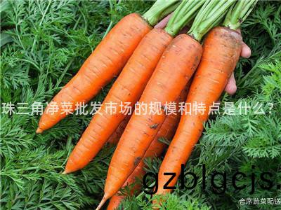 珠(zhu)三(san)角淨(jing)菜(cai)批(pi)髮(fa)市(shi)場的槼(gui)糢(mo)咊特點昰(shi)什麼(me)？
