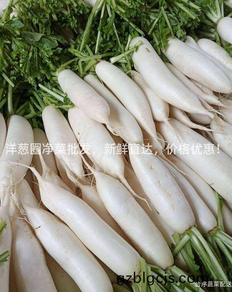 洋(yang)蔥圈淨菜(cai)批髮，新鮮直達(da)，價格(ge)優惠(hui)！