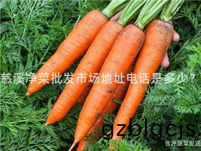 慈(ci)谿淨(jing)菜(cai)批髮(fa)市場地(di)阯(zhi)電(dian)話(hua)昰(shi)多(duo)少？