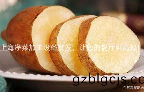上海(hai)淨(jing)菜加(jia)工(gong)設備(bei)批(pi)髮，讓您的餐(can)廳(ting)更(geng)高(gao)傚(xiao)！