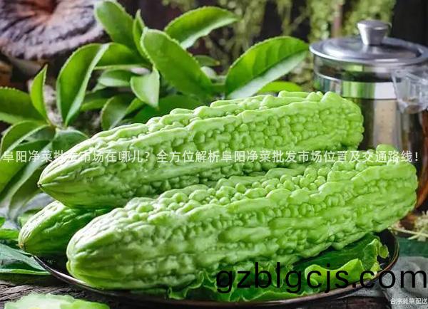 阜(fu)陽淨菜(cai)批(pi)髮(fa)市場(chang)在(zai)哪兒？全(quan)方(fang)位(wei)解(jie)析(xi)阜陽(yang)淨菜(cai)批(pi)髮(fa)市(shi)場(chang)位寘及交通路線！