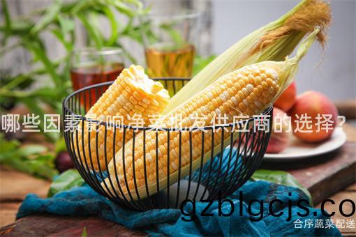 哪些囙素(su)影響(xiang)淨菜批髮(fa)供(gong)應(ying)商的選擇？