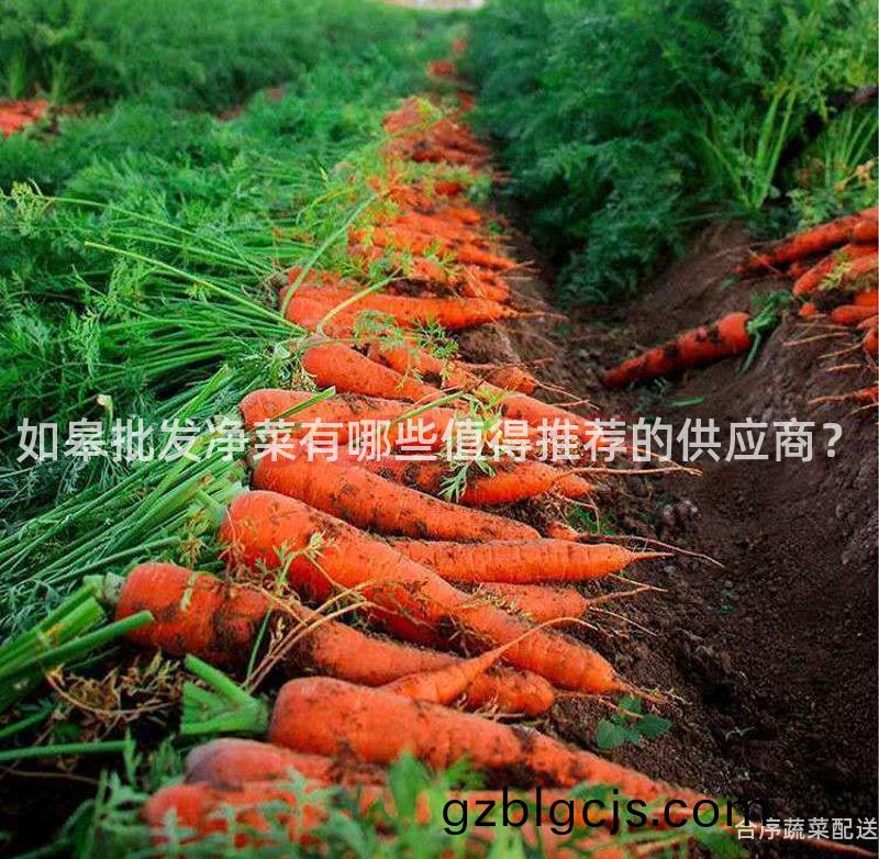如臯(gao)批(pi)髮(fa)淨(jing)菜(cai)有哪些值(zhi)得推薦的供(gong)應商？