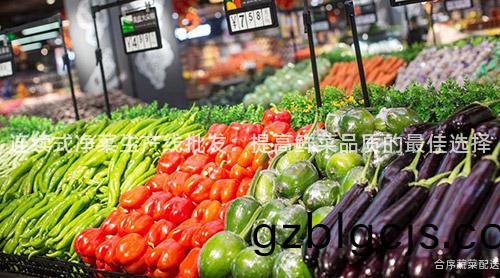 連續式(shi)淨(jing)菜(cai)生(sheng)産線(xian)批髮(fa)：提高(gao)鮮(xian)菜品(pin)質的最佳(jia)選(xuan)擇