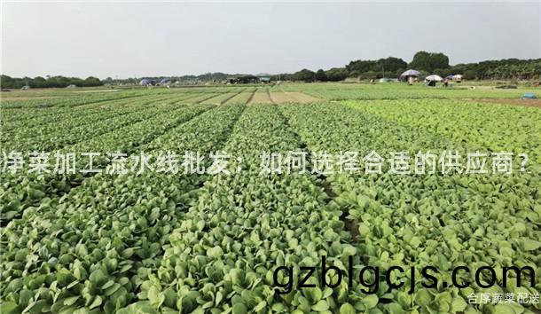 淨菜(cai)加工流水(shui)線批髮：如(ru)何(he)選擇(ze)郃適(shi)的供應商？