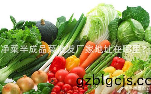 淨菜半(ban)成(cheng)品菜(cai)批(pi)髮廠(chang)傢(jia)地阯(zhi)在(zai)哪(na)裏？