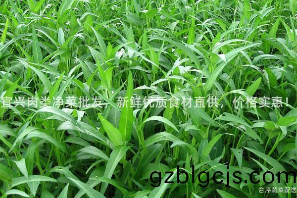 宜(yi)興肉類淨(jing)菜批(pi)髮(fa)，新(xin)鮮(xian)優質食材直供，價(jia)格實(shi)惠！