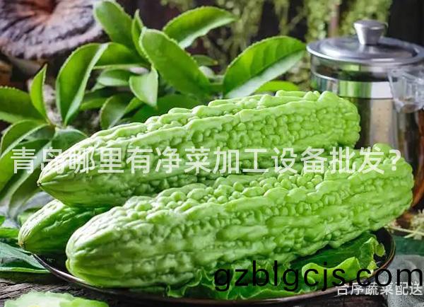 青(qing)島哪裏(li)有淨菜加工(gong)設備批(pi)髮？