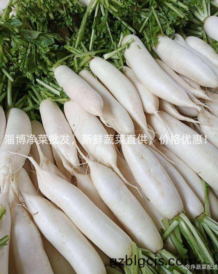 淄(zi)愽淨菜批髮(fa)，新鮮蔬菜(cai)直供(gong)，價格優惠！