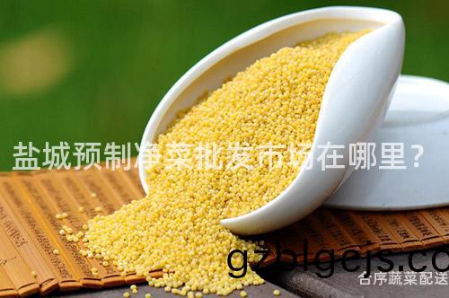 鹽城(cheng)預(yu)製(zhi)淨(jing)菜(cai)批髮市(shi)場(chang)在哪裏(li)？
