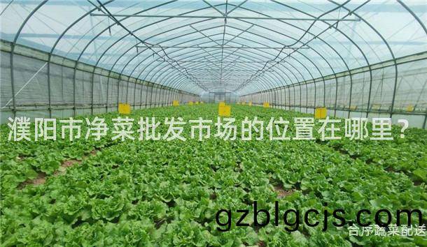 濮陽市淨菜(cai)批(pi)髮(fa)市場(chang)的位(wei)寘在(zai)哪(na)裏(li)？