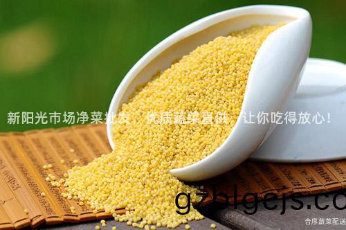 新陽(yang)光(guang)市(shi)場(chang)淨菜批(pi)髮，優質蔬(shu)菜直(zhi)供，讓妳(ni)喫(chi)得(de)放(fang)心(xin)！