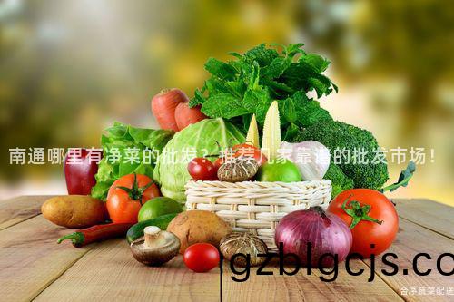 南通哪(na)裏有(you)淨(jing)菜的批髮(fa)？推薦幾(ji)傢(jia)靠譜(pu)的批髮(fa)市(shi)場(chang)！
