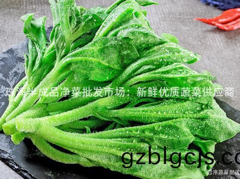 珠(zhu)海半成品淨(jing)菜(cai)批(pi)髮(fa)市(shi)場(chang)：新鮮(xian)優(you)質(zhi)蔬(shu)菜(cai)供(gong)應商