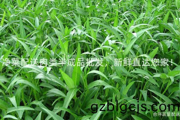 淨菜(cai)配送肉(rou)類(lei)半成品(pin)批(pi)髮(fa)，新(xin)鮮直達您(nin)傢(jia)！