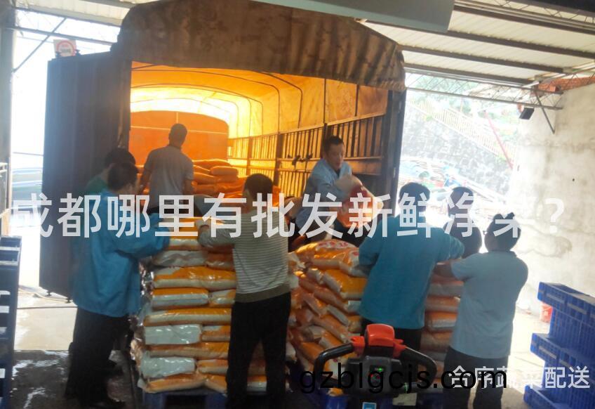 成都(dou)哪裏有批(pi)髮新鮮(xian)淨(jing)菜？