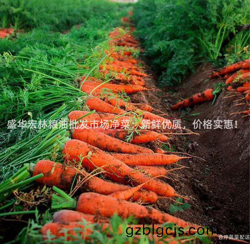 盛(sheng)華(hua)宏林糧油批(pi)髮(fa)市場淨(jing)菜：新(xin)鮮(xian)優質(zhi)，價格(ge)實(shi)惠(hui)！