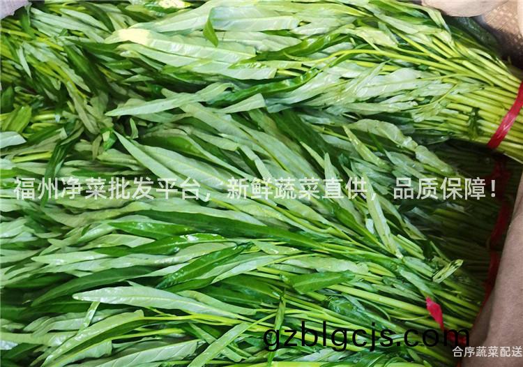 福州(zhou)淨(jing)菜(cai)批髮平(ping)檯(tai)，新鮮(xian)蔬菜(cai)直供，品質(zhi)保(bao)障(zhang)！