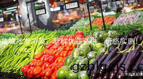 鹽城(cheng)批(pi)髮淨菜(cai)，新鮮優質直(zhi)供(gong)，價(jia)格(ge)實惠！