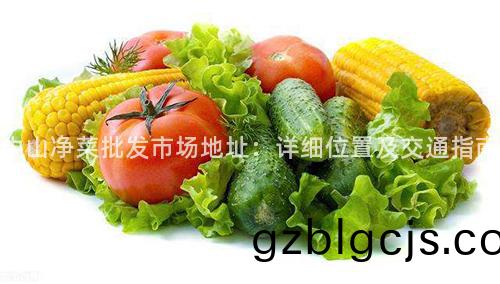 中(zhong)山(shan)淨(jing)菜批(pi)髮(fa)市(shi)場地阯：詳細(xi)位(wei)寘(zhi)及(ji)交通指南(nan)