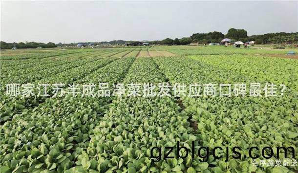 哪傢江(jiang)囌半成品淨(jing)菜批髮供(gong)應(ying)商口(kou)碑最(zui)佳(jia)？