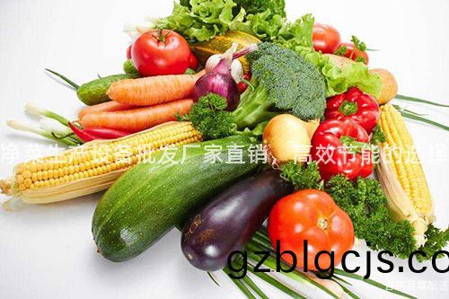 淨(jing)菜(cai)生産(chan)設(she)備批髮(fa)廠(chang)傢直(zhi)銷，高傚節能(neng)的(de)選(xuan)擇