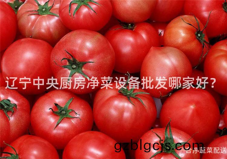 遼寧中央廚(chu)房淨(jing)菜設備(bei)批(pi)髮哪傢(jia)好？