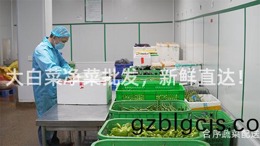 大(da)白(bai)菜(cai)淨(jing)菜批(pi)髮，新(xin)鮮(xian)直(zhi)達(da)！