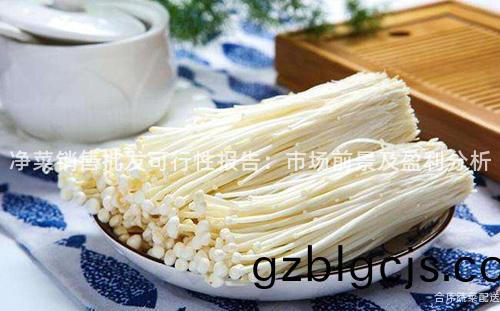 淨(jing)菜銷(xiao)售(shou)批(pi)髮可(ke)行(xing)性報(bao)告(gao)：市(shi)場(chang)前景(jing)及(ji)盈利分析