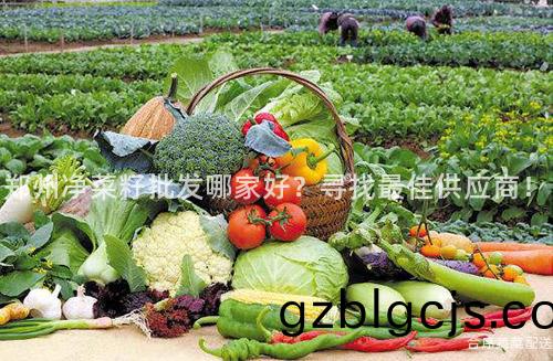 鄭(zheng)州(zhou)淨菜(cai)籽批(pi)髮(fa)哪傢好(hao)？尋找(zhao)最(zui)佳供(gong)應(ying)商(shang)！