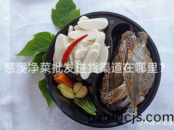 慈谿(xi)淨(jing)菜(cai)批髮(fa)進貨渠(qu)道(dao)在哪裏？