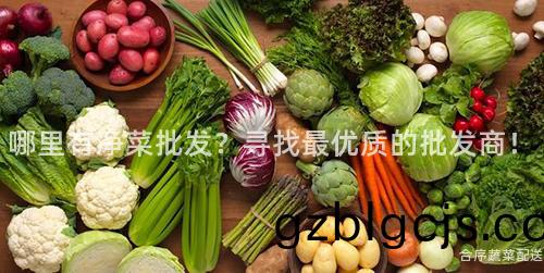 哪裏有(you)淨菜(cai)批髮(fa)？尋(xun)找(zhao)最(zui)優(you)質的(de)批(pi)髮商！