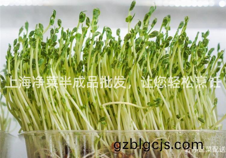 上(shang)海淨菜(cai)半成品(pin)批(pi)髮(fa)，讓您(nin)輕(qing)鬆(song)烹(peng)飪(ren)
