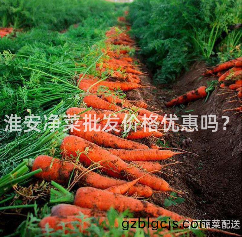 淮(huai)安淨菜批(pi)髮價(jia)格(ge)優惠嗎？