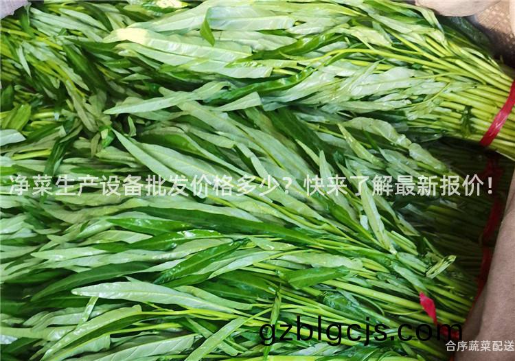 淨菜(cai)生産(chan)設備批(pi)髮(fa)價(jia)格(ge)多(duo)少？快來了(le)解(jie)最新報價！