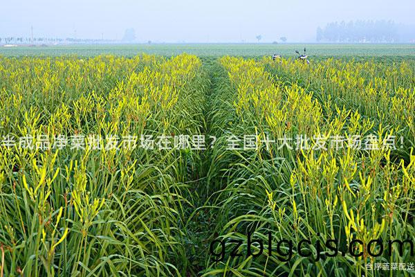 半(ban)成(cheng)品(pin)淨(jing)菜批(pi)髮(fa)市場在哪裏？全(quan)國(guo)十(shi)大批髮市(shi)場盤點(dian)！