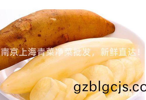 南(nan)京(jing)上海青(qing)菜(cai)淨(jing)菜批(pi)髮(fa)，新鮮直(zhi)達！