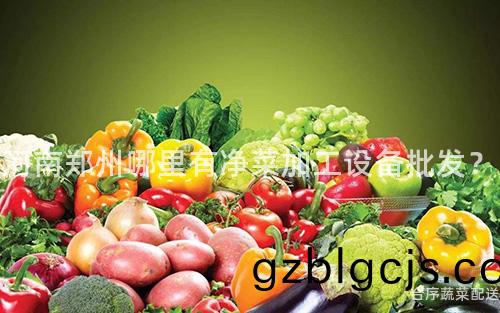 河南鄭州哪裏(li)有(you)淨菜(cai)加工設(she)備(bei)批(pi)髮(fa)？
