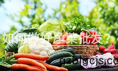 如(ru)何做好淨菜批髮？