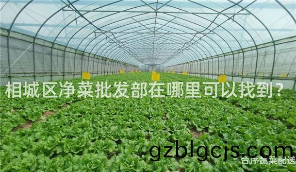 相城(cheng)區(qu)淨(jing)菜(cai)批(pi)髮部(bu)在哪裏可以(yi)找到？