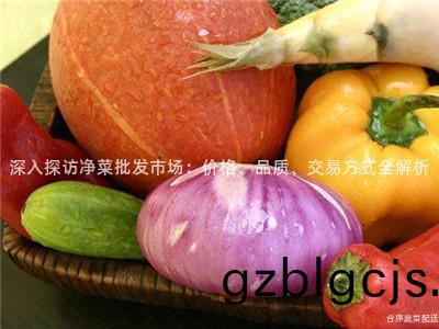 深(shen)入探(tan)訪淨菜批髮市(shi)場(chang)：價(jia)格(ge)、品(pin)質、交(jiao)易方(fang)式全(quan)解(jie)析(xi)