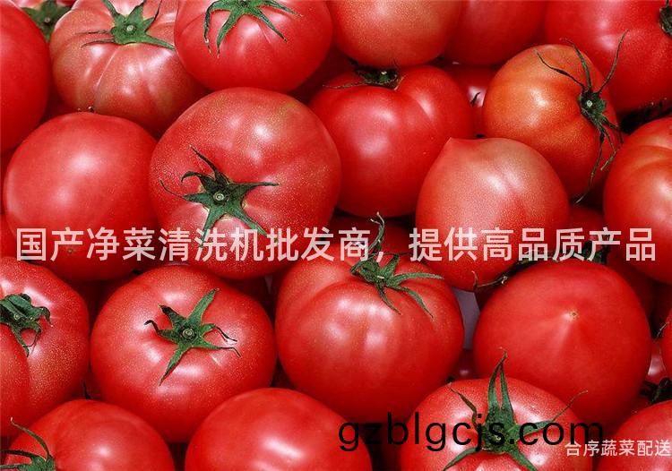 國産淨(jing)菜(cai)清(qing)洗(xi)機批(pi)髮商，提(ti)供高(gao)品(pin)質産品(pin)