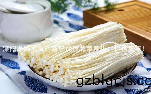 溧(li)陽淨菜(cai)批髮，新鮮(xian)優(you)質蔬菜(cai)直(zhi)供，價(jia)格(ge)實惠！