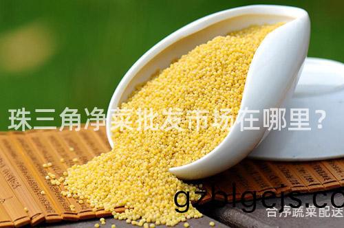 珠(zhu)三角(jiao)淨(jing)菜批髮市場在哪(na)裏(li)？