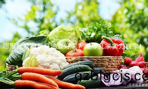 哪裏批髮淨菜(cai)籽(zi)油(you)最好呢(ne)？推薦幾(ji)傢實(shi)力商(shang)傢(jia)！