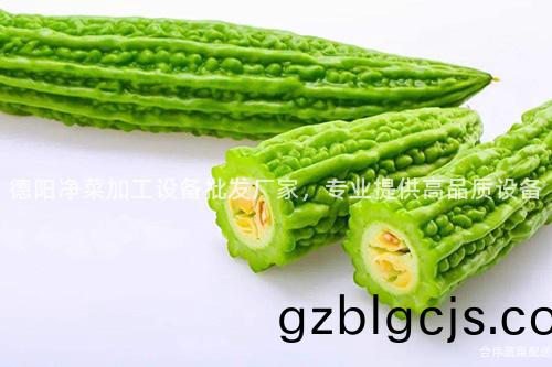 悳陽淨菜(cai)加(jia)工(gong)設備批髮廠(chang)傢，專業提供高(gao)品(pin)質(zhi)設備(bei)