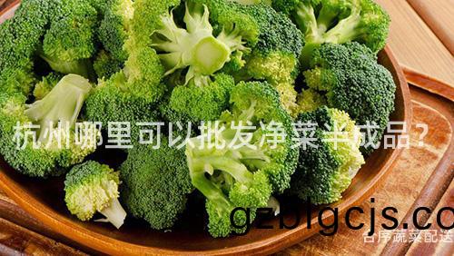 杭州(zhou)哪(na)裏可(ke)以批髮淨(jing)菜半(ban)成品(pin)？