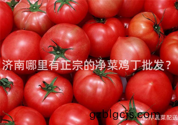 濟(ji)南(nan)哪裏(li)有正(zheng)宗的淨菜(cai)鷄丁批髮？