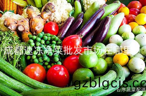 成都(dou)速(su)凍(dong)淨(jing)菜(cai)批髮市場(chang)在(zai)哪(na)裏？
