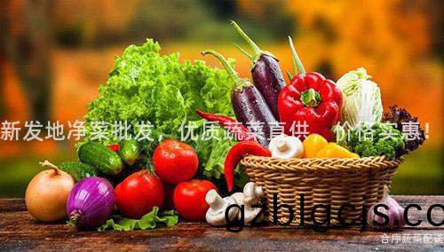 新髮地淨菜批髮，優質蔬菜(cai)直(zhi)供(gong)，價格實惠(hui)！